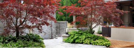 Modern Garden Designs Image