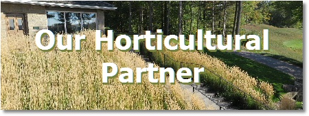 Toronto landscaping; Toronto best horticultural company, Green Stroke