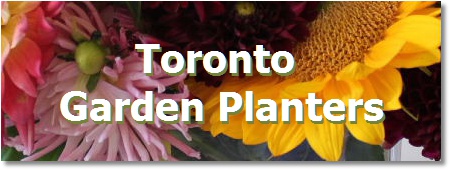 Toronto Outdoor Garden Planters by Grace Lewicki