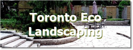 Toronto landscaping; eco friendly AMG Landscaping